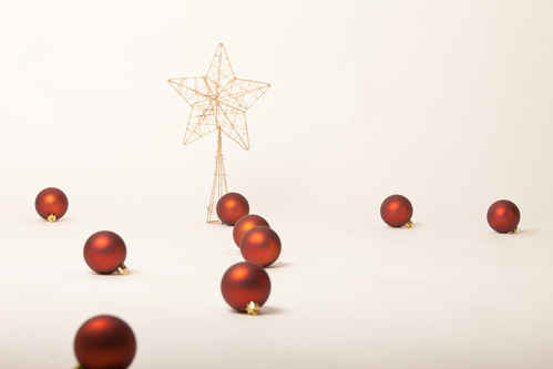 Julstjärna
