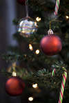 jul101217-19.jpg