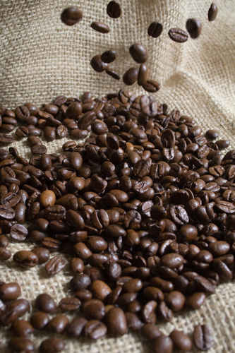 Kaffebönor