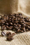 kaffebonor080430-1.jpg