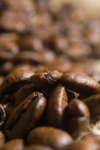 kaffebonor080430-10.jpg