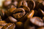 kaffebonor080430-14.jpg