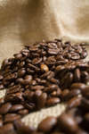 kaffebonor080430-15.jpg