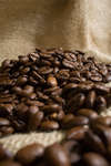 kaffebonor080430-16.jpg