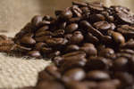 kaffebonor080430-18.jpg