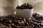 kaffebonor080430-21.jpg
