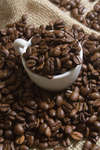 kaffebonor080430-22.jpg