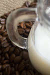 kaffebonor080430-27.jpg