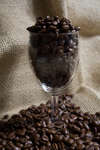 kaffebonor080430-28.jpg