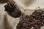 kaffebonor080430-29.jpg
