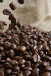 kaffebonor080430-31.jpg