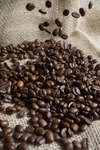 kaffebonor080430-33.jpg