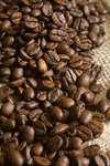 kaffebonor080430-5.jpg