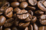 kaffebonor080430-6.jpg