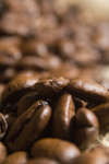 kaffebonor080430-9.jpg