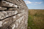 karl-x-gustafs-mur-06.jpg