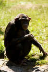 kolmarden080710-85.jpg