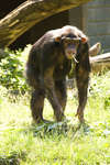 kolmarden080710-88.jpg