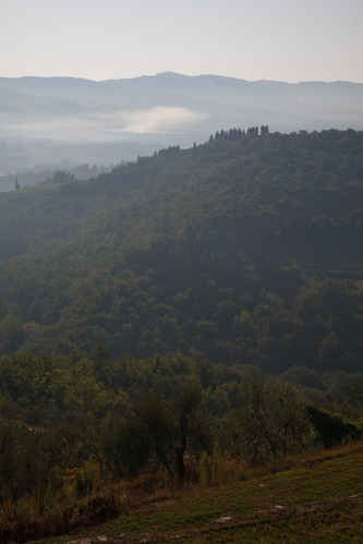 Disiga berg