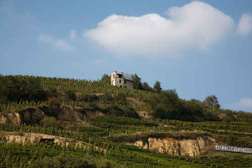 Côte de Rhône