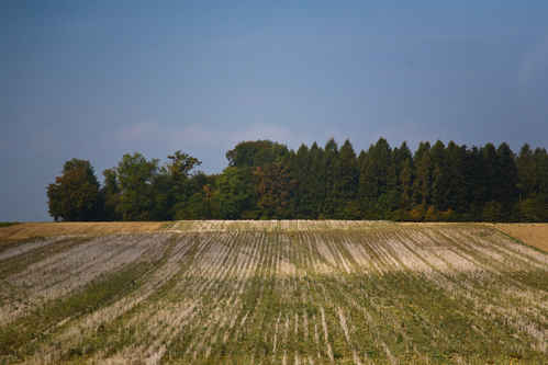 Landskap