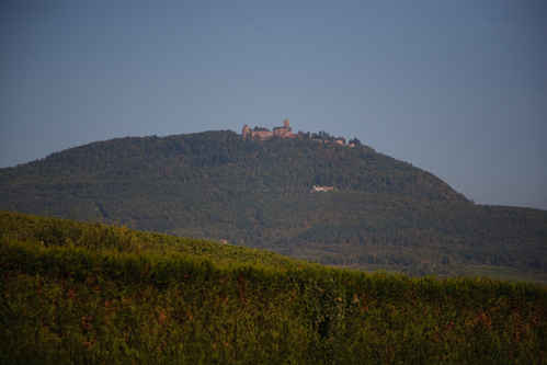 Haut-Kœnigsbourg