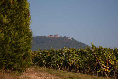 Château du Haut-Kœnigsbourg
