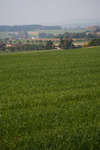 landskap100208-58.jpg
