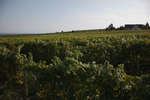 landskap100208-62.jpg