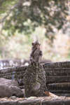 leper-king-terrace130210-7.jpg