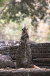 leper-king-terrace130210-8.jpg