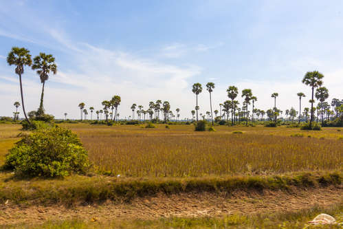 Kambodja