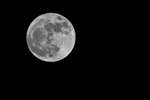 manen110320-2.jpg
