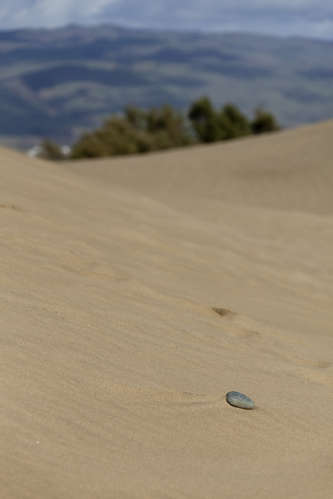 Sanddyner
