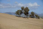 maspalomas110118-10.jpg