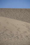maspalomas110118-3.jpg