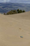 maspalomas110118-6.jpg