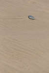 maspalomas110118-7.jpg