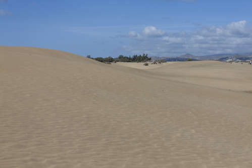 Sanddyner