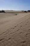 maspalomas110119-34.jpg