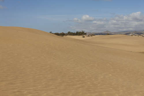 Sanddyner