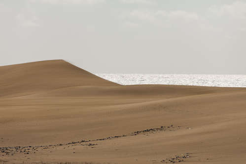 Sanddyner