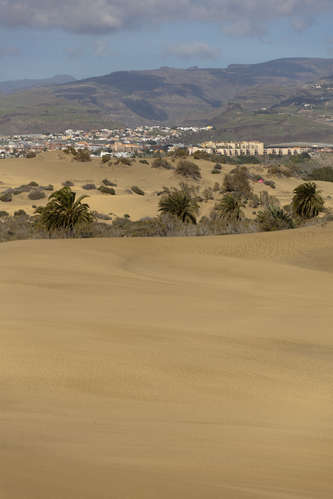 Maspalomas