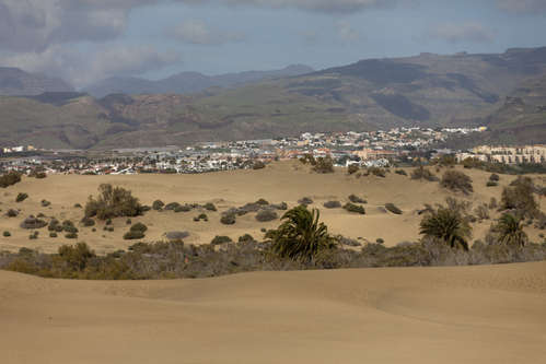 Maspalomas