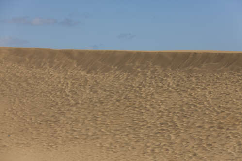 Sanddyner