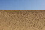 maspalomas110522-12.jpg
