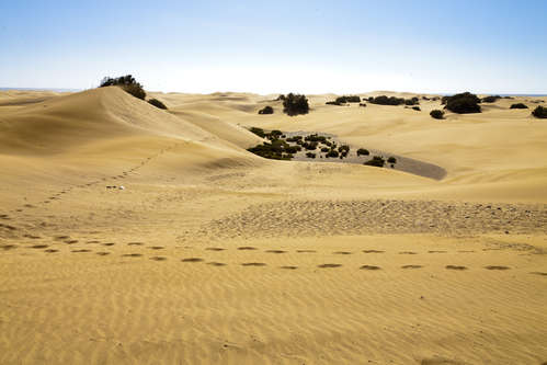 Maspalomas öken