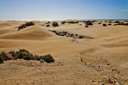 Maspalomas