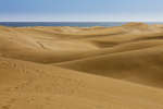 maspalomas110611-18.jpg