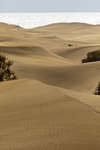 maspalomas110611-21.jpg